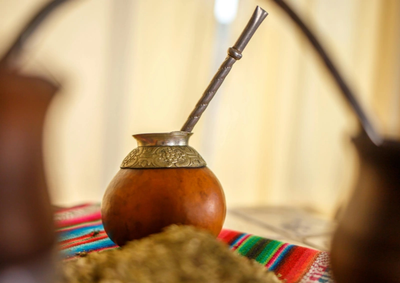 mate tee herkunft und kultur der mate