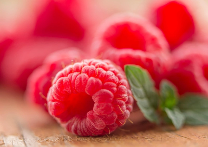 Oolong China Himbeere – aromatisierter Oolongtee mit Himbeeren im Teelexikon