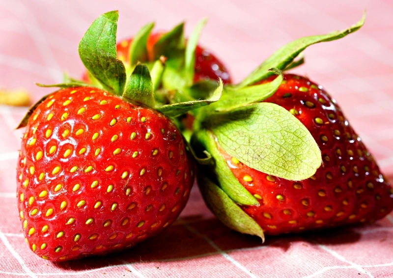 Frische Erdbeeren im Oolong Erdbeerwinter Tee