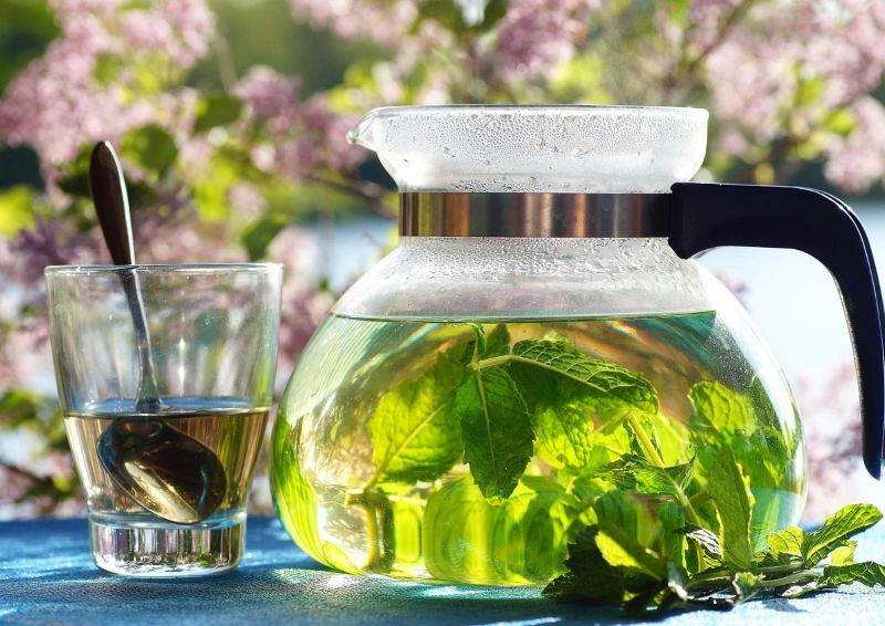 pfefferminze nebenwirkungen 