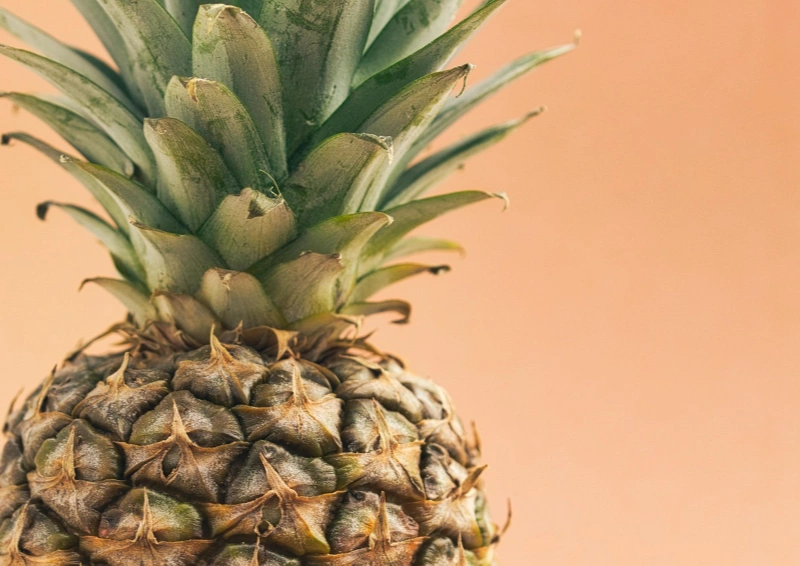 Frische Ananas im Rotbuschtee Ananas Maracuja