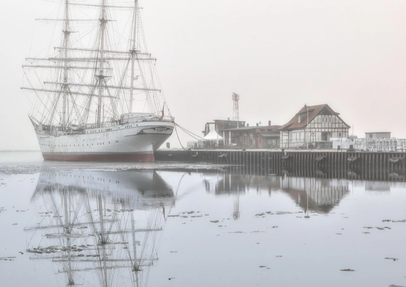 Robert Fortune Teespion 