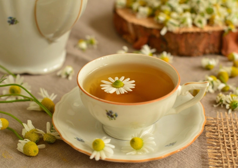 Tasse Kräutertee mit Kamillenblüte – Gesundheit und Wirkung von Tee