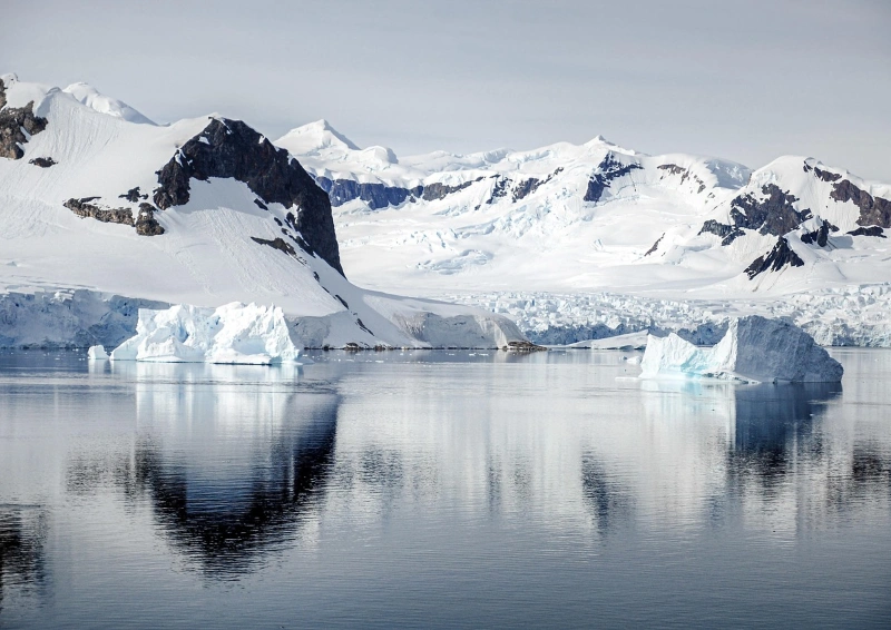 Tee in der Antarktis Gletscher und Meer