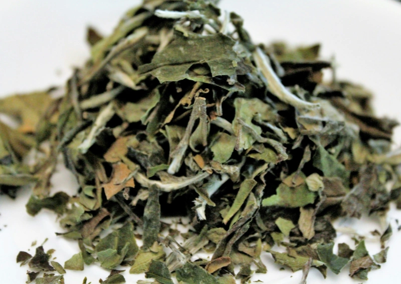 weisser tee im teelexikon