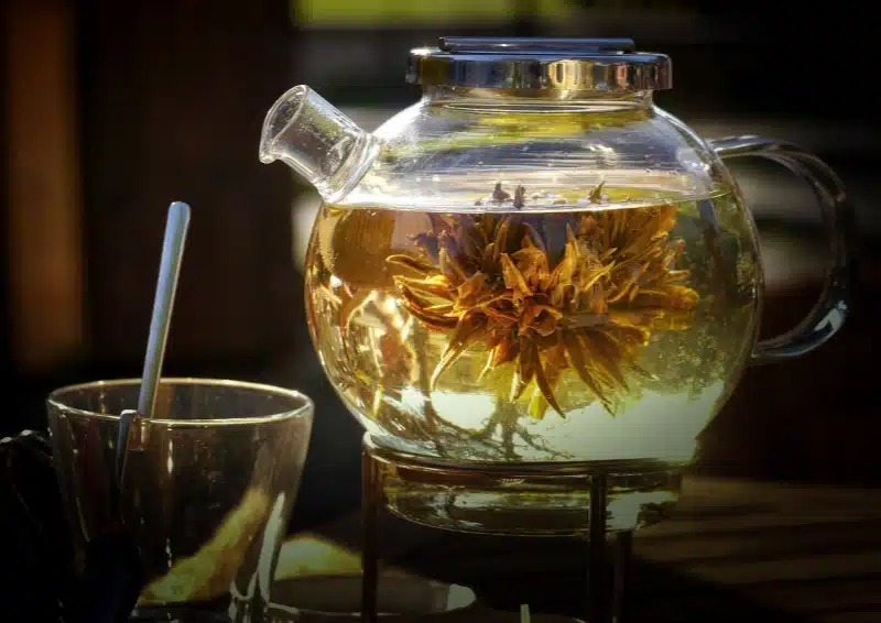 Blooming Tea Ocean Pearl angerichtet in einer Glaskanne