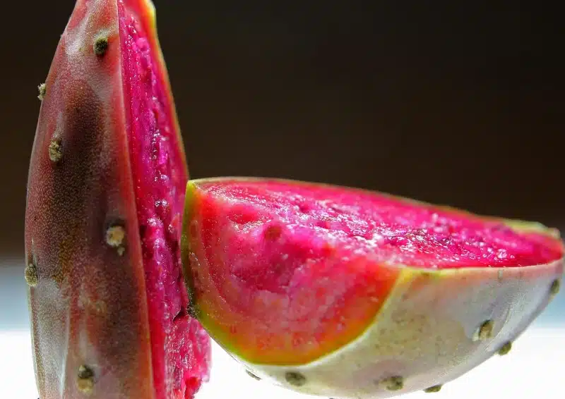 Feinste Kaktusfeigen für die Teesorte Früchtetee Agua de Jamaica 