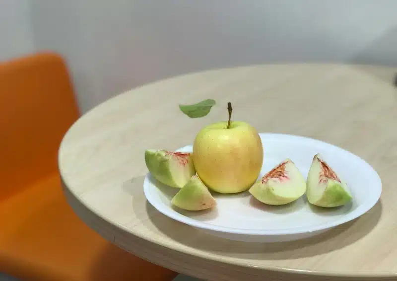 Süße Apfelstücke im Früchtetee Apfeltraum Südfrucht