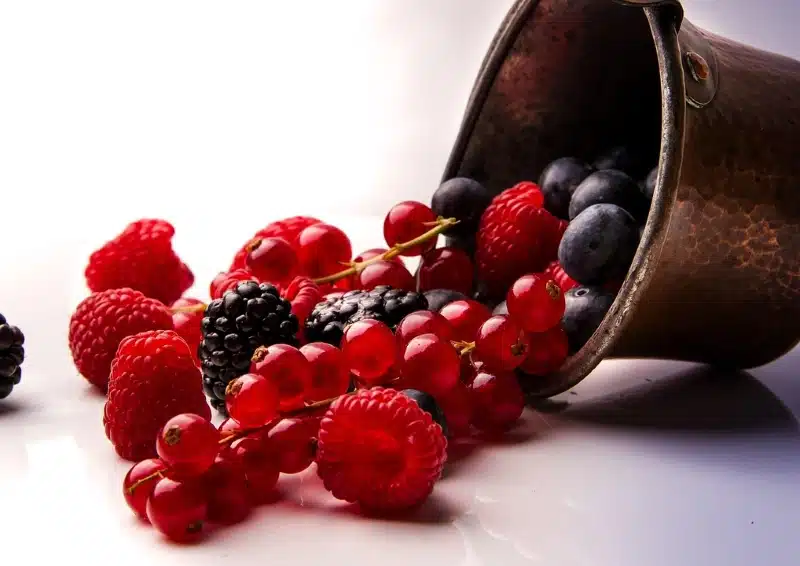 Heimische Beeren, wie Brombeeren, Walsderdbeeren, Himbeeren und Johannisbeeren für Früchtetee Exotic Waldbeere Cranberry