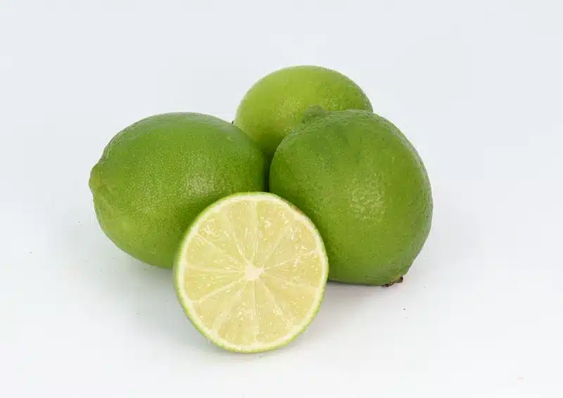 Früchtetee Feurige Limette mit feinstem Geschamck von Limetten