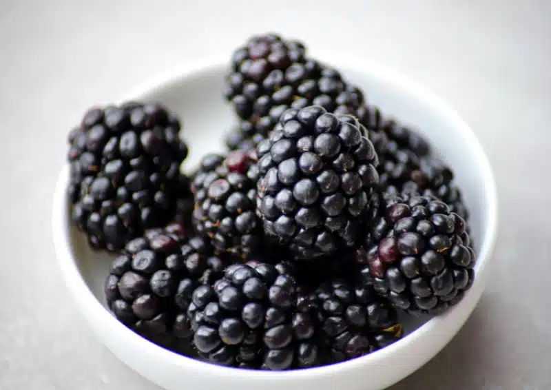 Frische Brombeeren angerichtet für Früchtetee Goji Beerchen