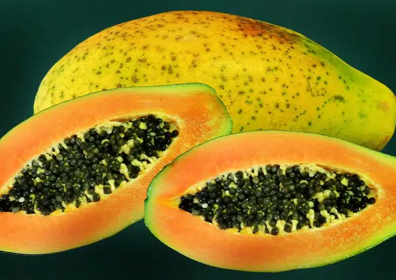 Früchtetee Früchtepotpourri mit leckeren Papayastücken