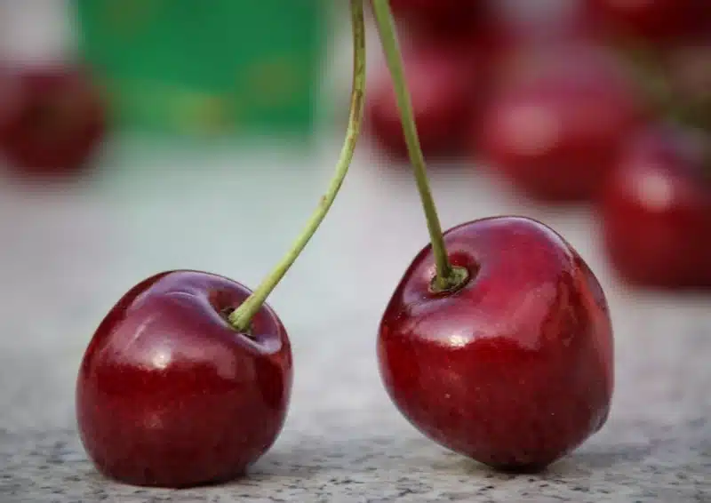 Früchtetee Gute Laune ist mit feinen, dunklen Kirschen