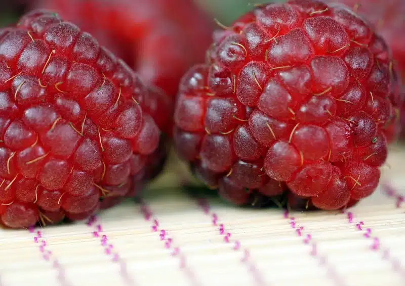 Früchtetee Himbeere ist mir feinsten Himbeeren