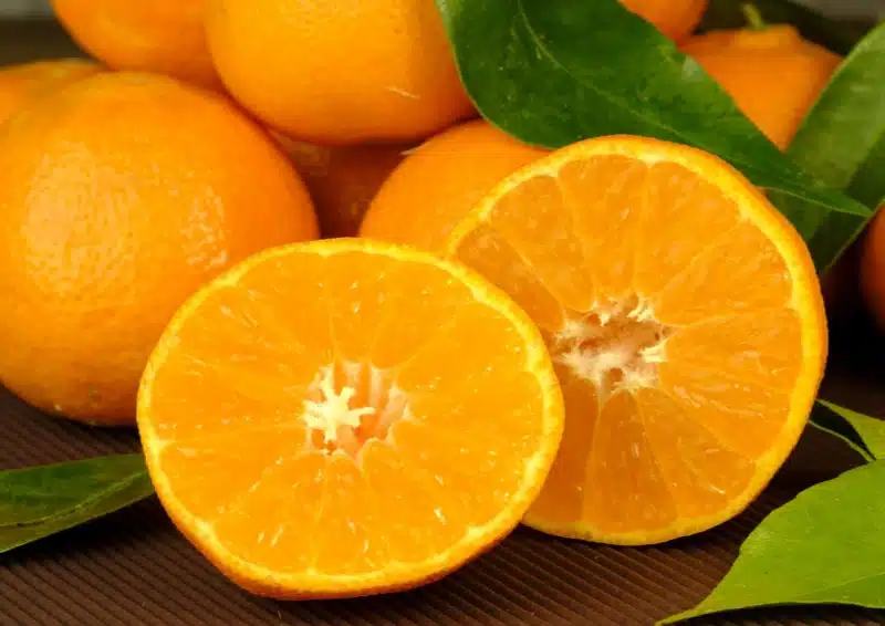 Frische aufgeschittene Mandarinen für Früchtetee Lavendel Mandarine