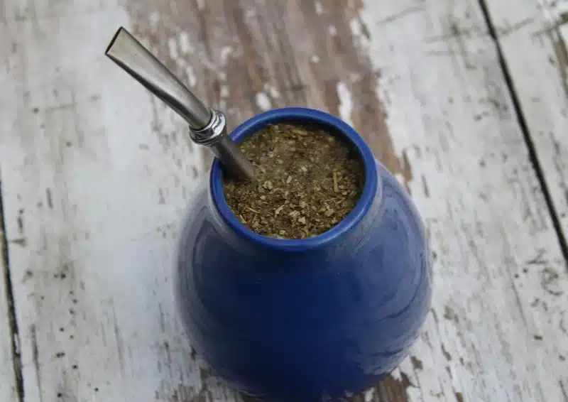 Mate Pajarito in einer Kalebasse mit einer Bombilla