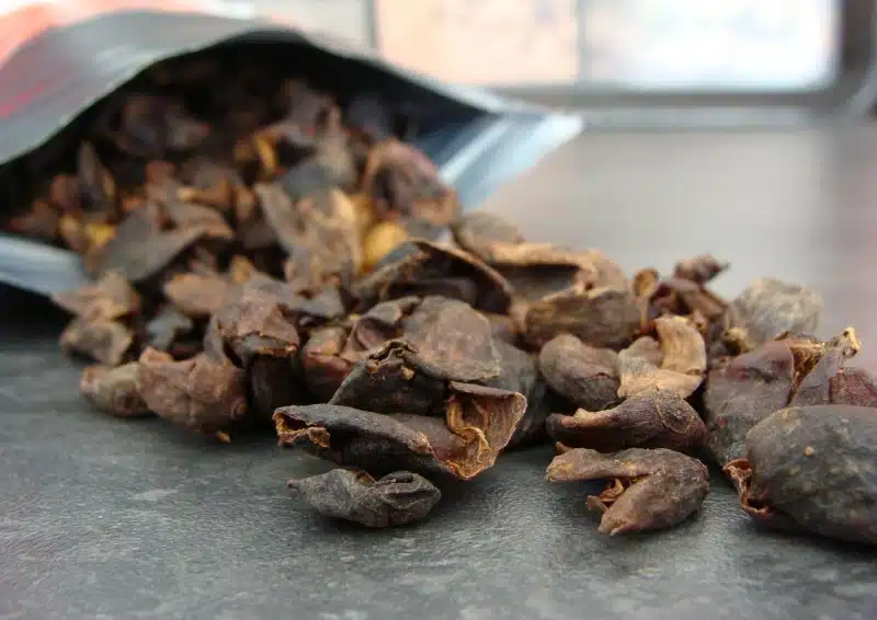 Cascara Schalen der Kaffeekrische für den Früchtetee Cascara Birne