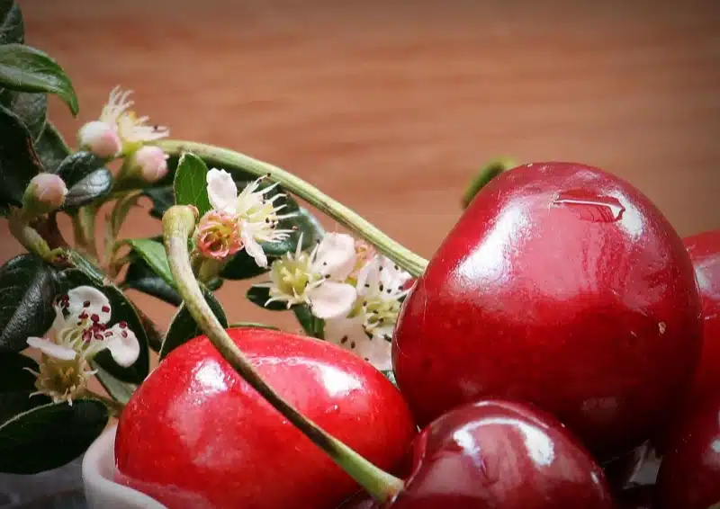 Kirschen und Blüten für den Früchtetee Cherry Trifle