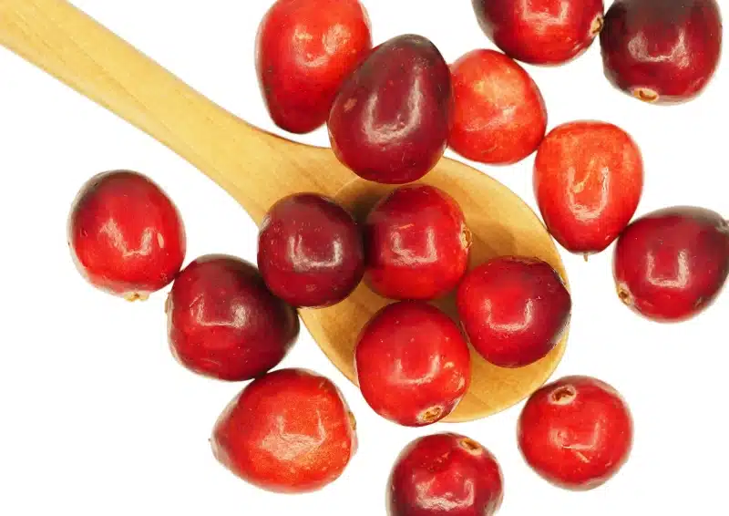 Frische rote Cranberries im Früchtetee Cranberry Grenadine
