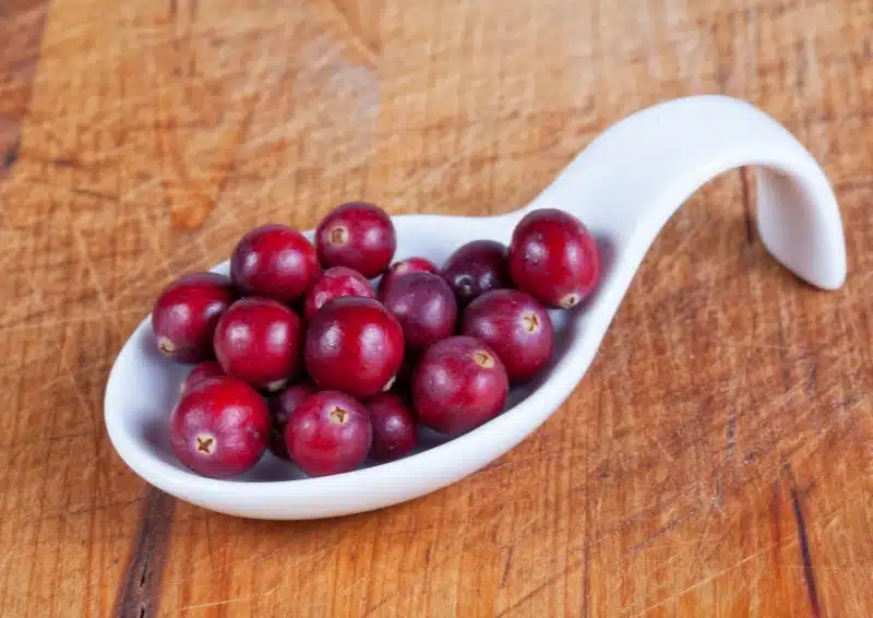 Frische rote Cranvberry im Früchtetee Crème Brûlée Cranberry