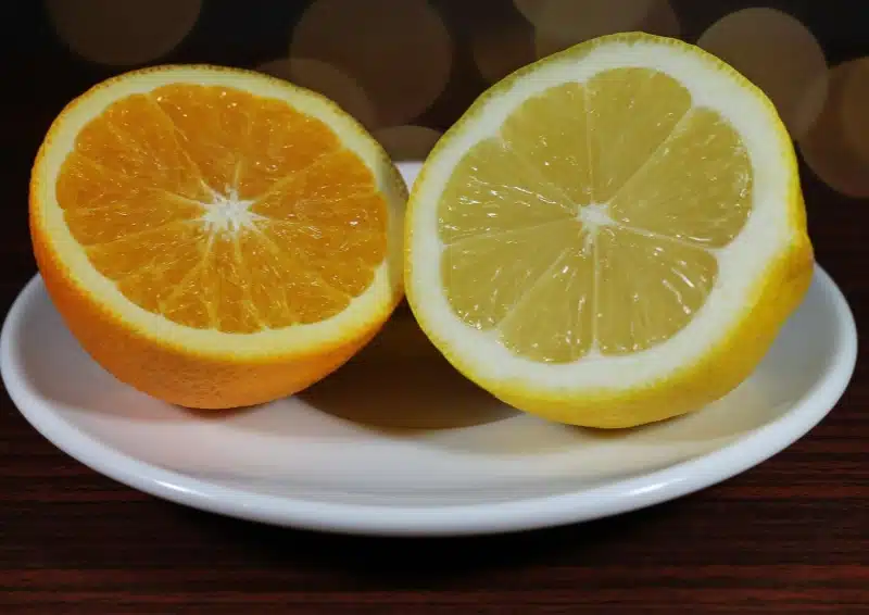 Orangenscheiben und Zitronen im Früchtetee Frutti di Sicilia