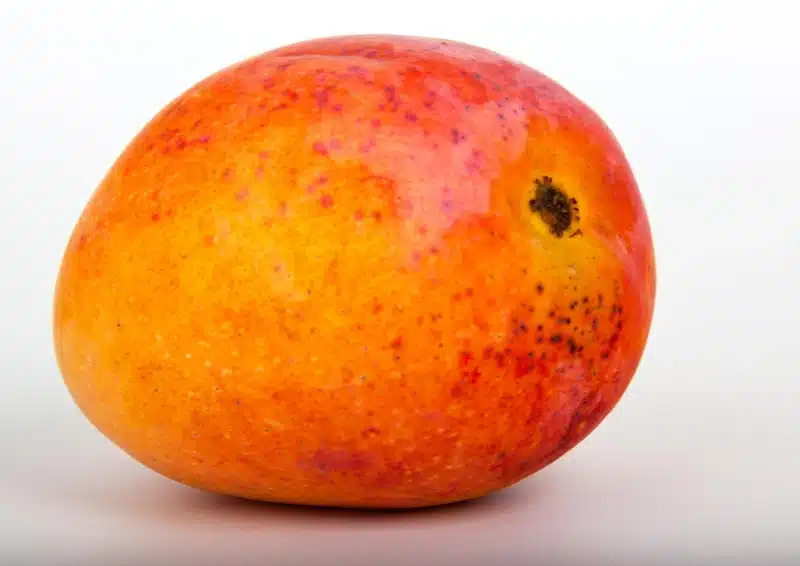 Früchtetee Multifruit ist mit frischer Mango verfeinert