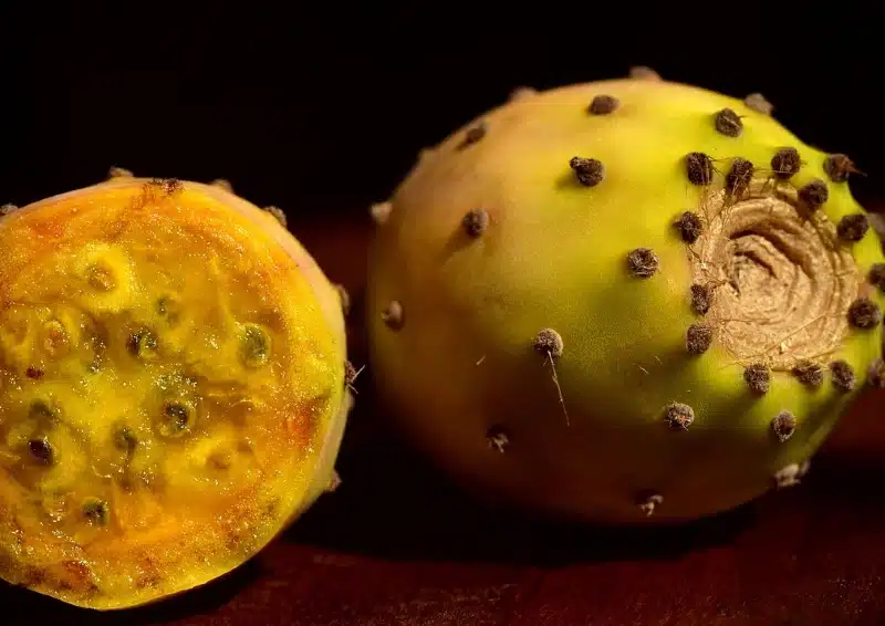 Frische Kaktusfeigen sind in dem Früchtetee Birnengarten® Kaktusfeige