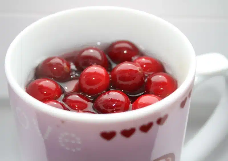 Cranberries in einer Tasse, die für Früchtetee Cranberry Moringa den Geschmack angeben