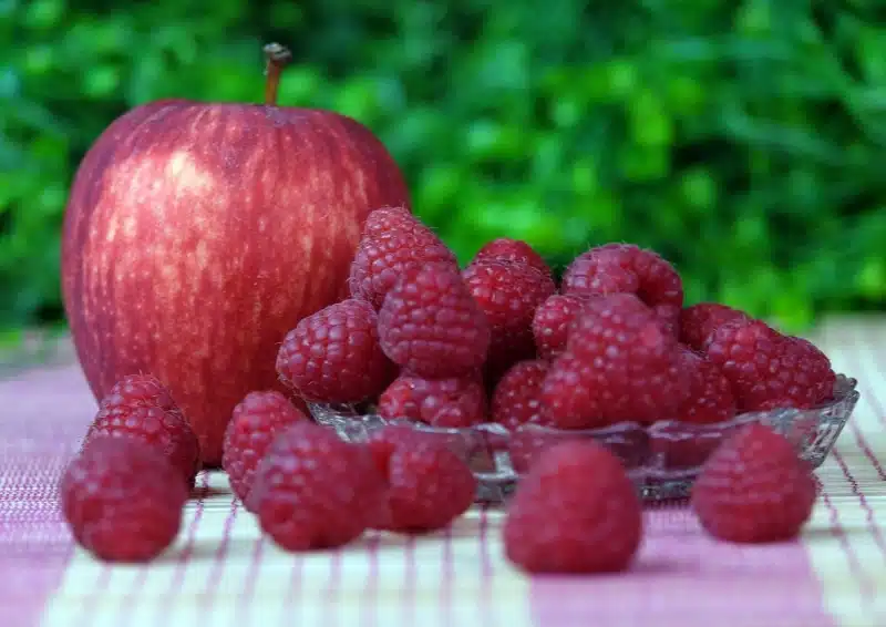 Frische Himbeeren und Äpfel sind im Früchtetee Früchtekörbchen