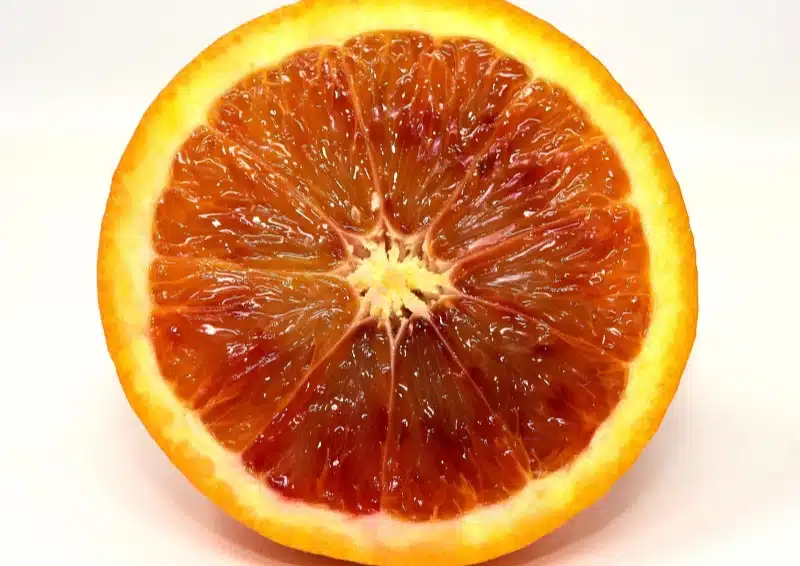 Eine Orangenscheibe für den Früchtetee Glühweinmischung Weihnachtsmarkt
