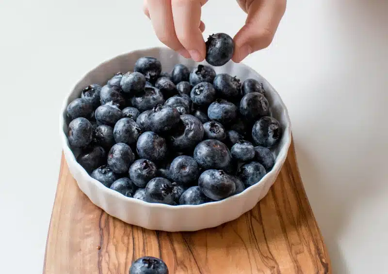 Frische, dunkle Heidelbeeren für die Teesorte Früchtetee Punsch