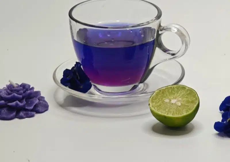 Clitoria ternatea Tee mit Zitrone