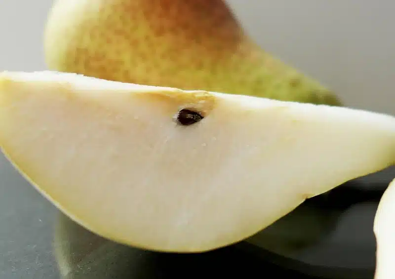 Feinste Birnenstücke sind in dem Früchtetee Charmante Birne