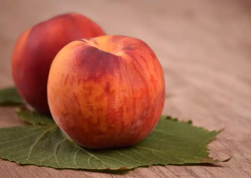 Frische Pfirsiche sind im Früchtetee Fallin in Love