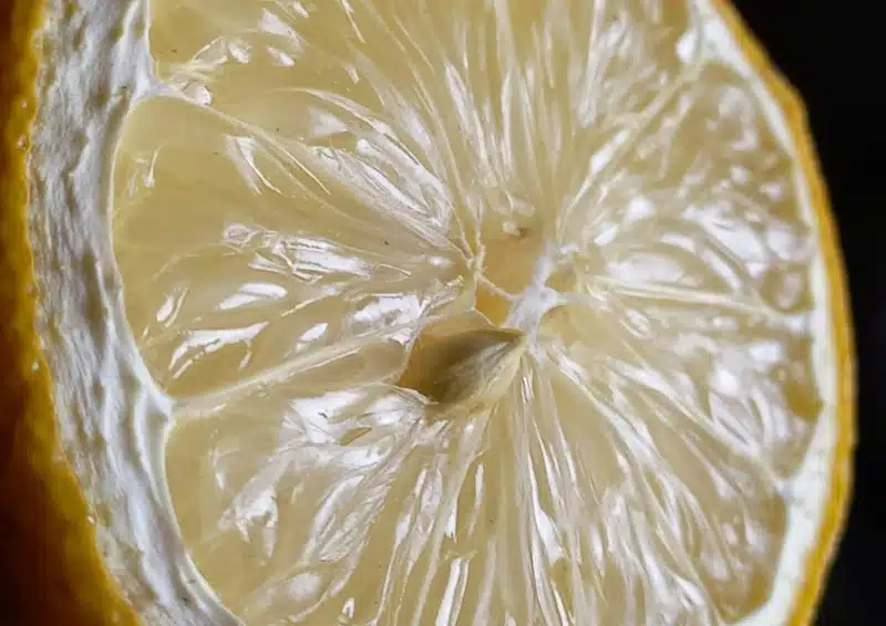 Frische Grapefruit Stücke sind im Früchtetee Fruchthexe