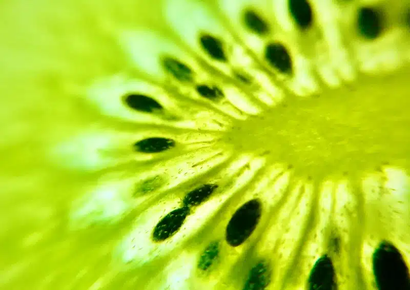 Frische Kiwi gibt den Ton an in Früchtetee Kiwinas Berry