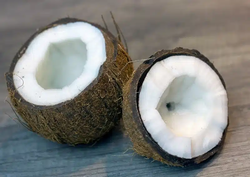 Aufgeschnittene Kokosnuss gibt den Ton an in Früchtetee Kokos Melone