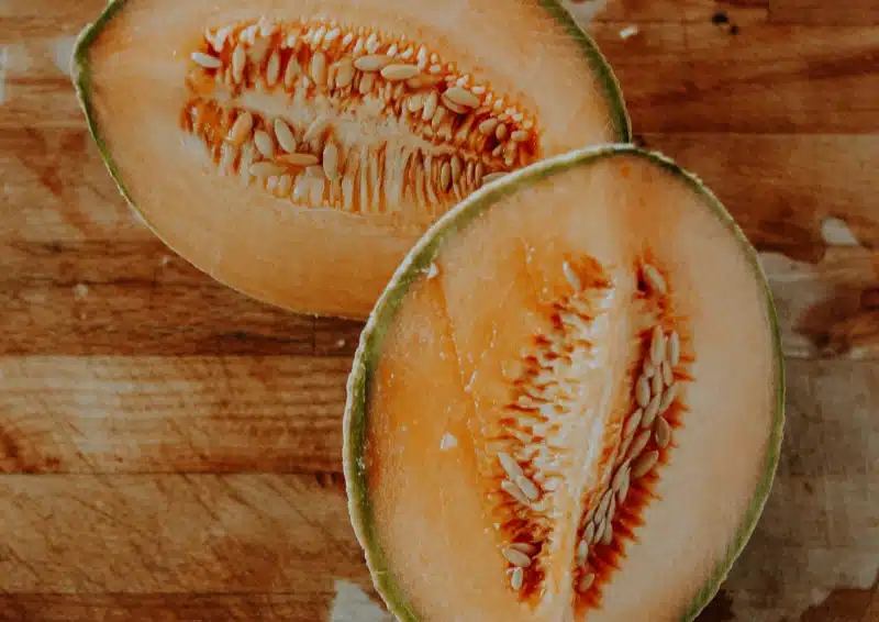 Frische Cantaloupe Melone für Früchtetee Nordlicht