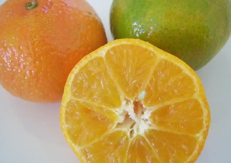 Frische Orangen und Limetten sind im Früchtetee Orange Limette