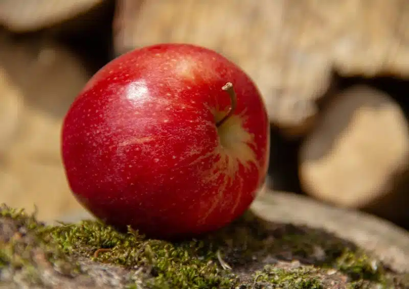 Saftig runder Apfel ist im Früchtetee Schlemmerapfel®