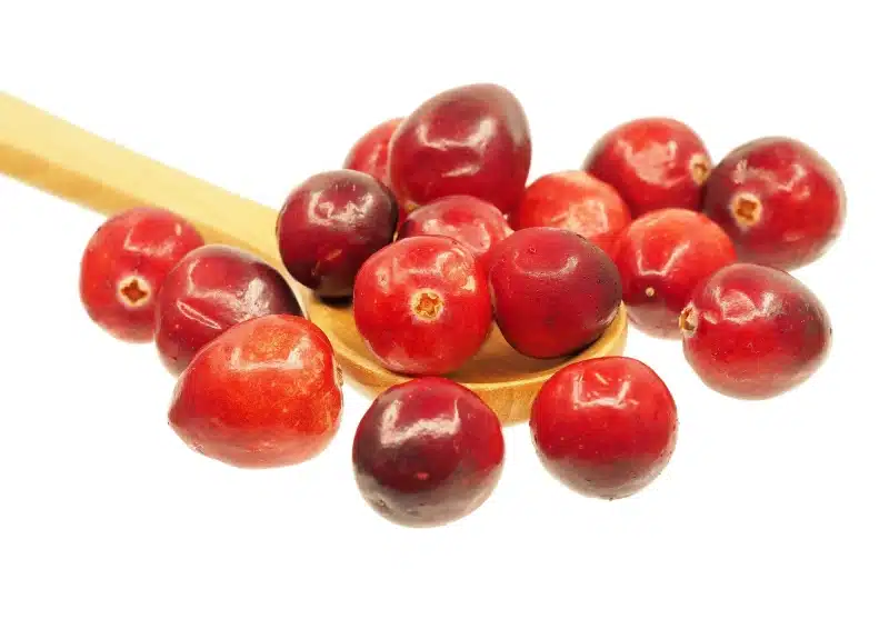 Frische saftige Cranberries sind im Früchtetee Cranberry Queen verarbeitet