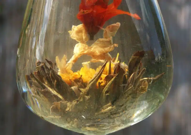 Blooming Tea Frühlingserwachen ist Erblühtee mit einer gelben Blüte