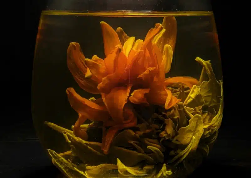 Blooming Tea China Hubei in einem Teeglas erblüht