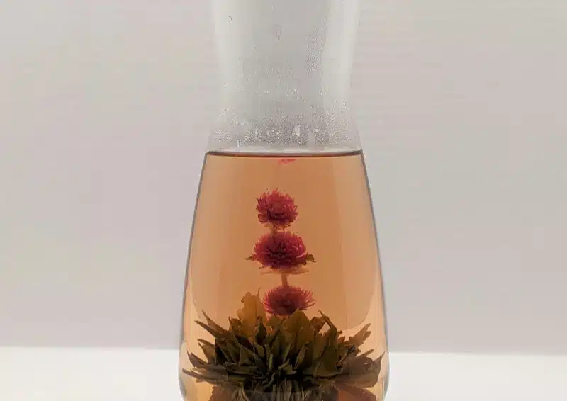 Blooming Tea Little Princess in einer Glasvase
