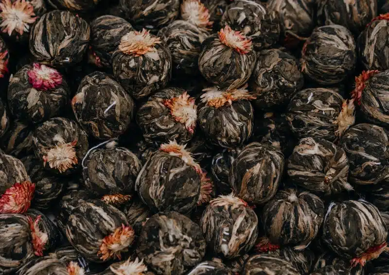 Unzählige Blooming Tea Red Peach Teeblumen in Nahaufnahme