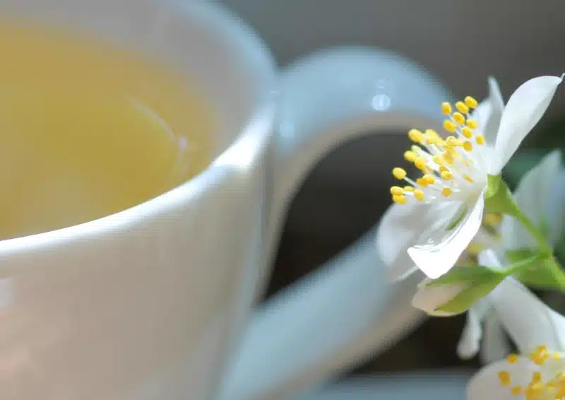 Weißer Tee Doke Silver Needle Bihar in einer Teetasse mit Teeblüte