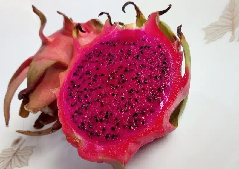 Weißer Tee Cool Dragon mit exotischer Drachenfrucht
