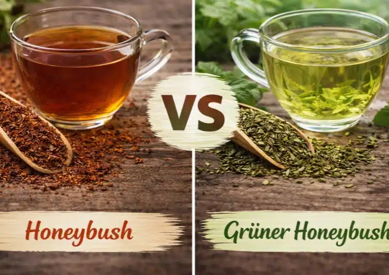 Honeybosh VS grüner Honeybush zwei Tassen Tee