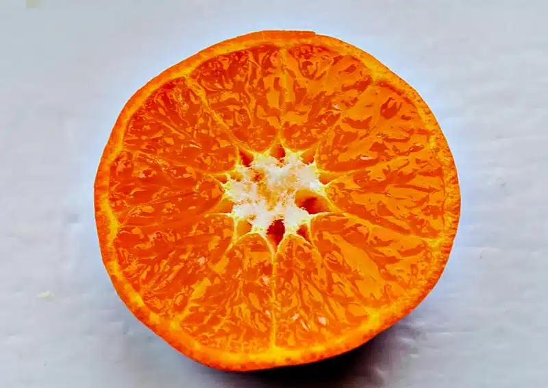 Rotbusch Mandarinenfeuer mit frischer Mandarine