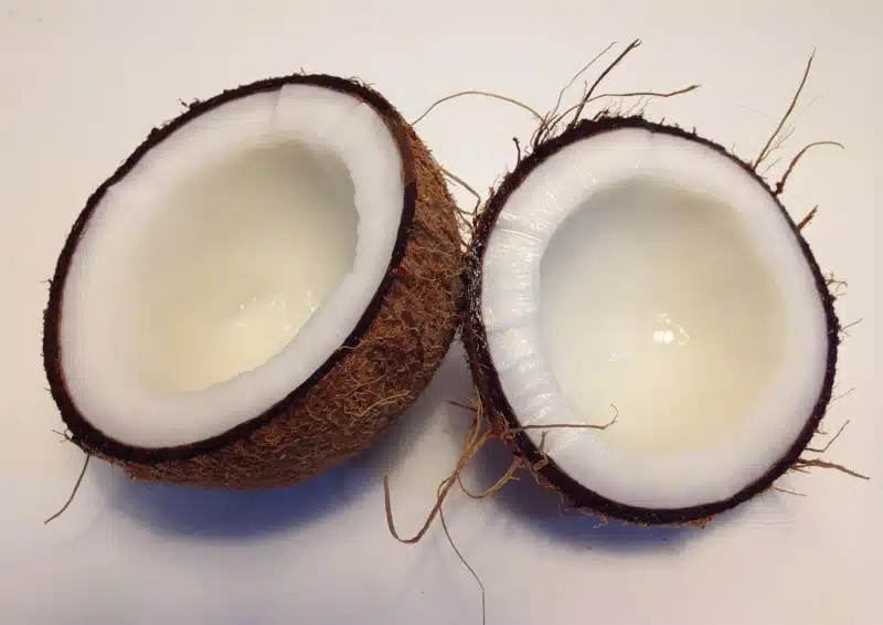 Weißer Tee Kokosnuss Trüffel mit Kokosanteil